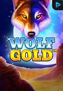 Bocoran RTP Wolf Gold di BENTO188 Generator RTP SLOT GACOR 4D Live Dengan Pola Akurat Dan Lengkap