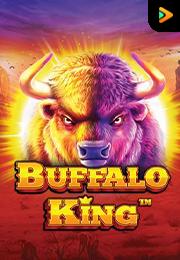 Buffalo King