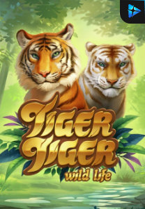 Bocoran RTP Tiger Tiger Wild Life di BENTO188 Generator RTP SLOT GACOR 4D Live Dengan Pola Akurat Dan Lengkap